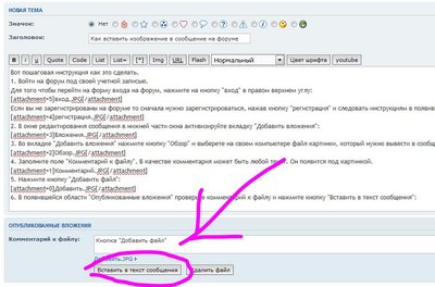 Кнопка "Вставить в текст сообщения"